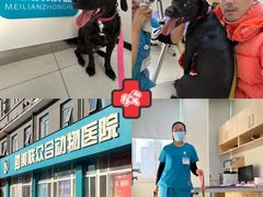 -美联众合动物医院·24h京西诊疗中心