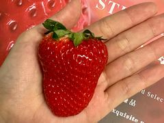 -Olé精品超市(广州太古汇店)