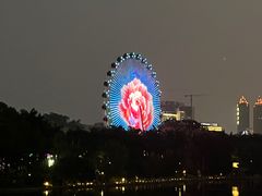 -南宁南湖公园