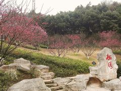 -重庆彩云湖湿地公园
