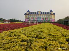 -百万葵园