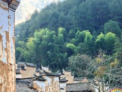 -杨家堂村