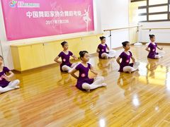 -美育音乐舞蹈国际机构(唯盛校区)