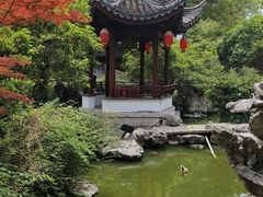 -祝家花園(伯渎港店)