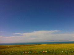 -青海湖国家重点风景名胜区