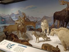 -陕西自然博物馆