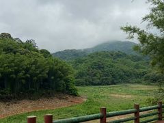 -广州市帽峰山景区