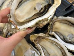 -蚝抵食·湛江生蚝(湾北路店)