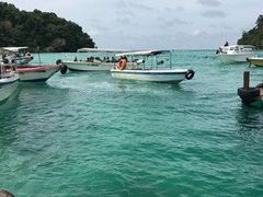 -东姑阿都拉曼海洋公园