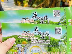 -西双版纳原始森林公园