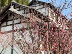 -径山寺