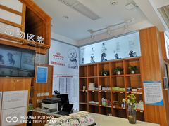 -可蒙动物医院·猫科·骨科中心(首义路店)