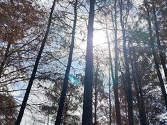-四海公园(南山区)