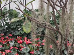 -上海鲜花港