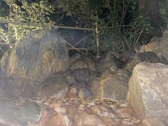 -湖泉半山温泉