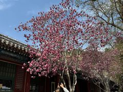 -潭柘寺景区