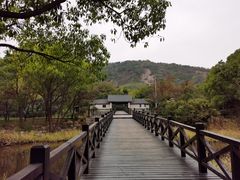 -长广溪湿地公园