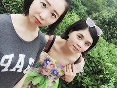 -火炉山森林公园