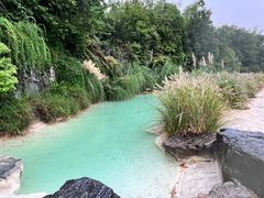 -上海吴淞炮台湾国家湿地公园
