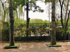 -尚庄度假村·庭台树下·户外烧烤·团建CS·轰趴营地(上庄水库店)
