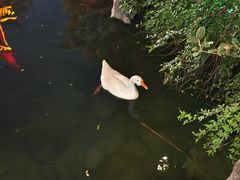 -祝家花園(伯渎港店)
