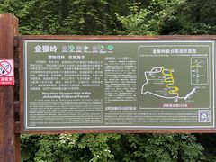 -神农架景区