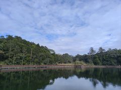 -海南热带雨林国家公园吊罗山景区
