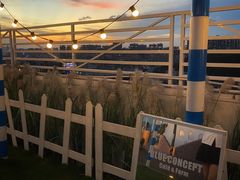 -Blue Concept Cafe&Farm·關於藍