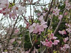 -乌山风景区