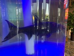 -解家河南菜(商鼎路店)