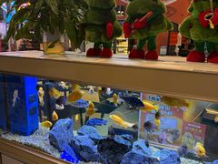 -黄鱼炙夜·烧烤·小龙虾(星荟广场店)