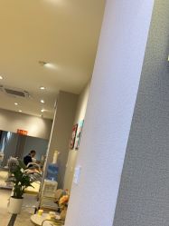 -洗脸猫·洗脸吧
