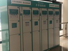 -首都医科大学附属北京天坛医院