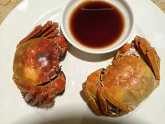 -大中华希尔顿酒店-念自助餐·嗨啤·小龙虾
