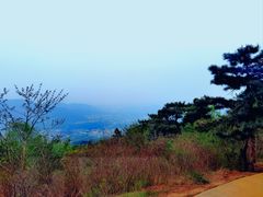 -北京西山国家森林公园