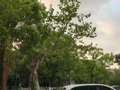 -四川大学(望江校区)