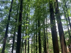 -东坡赤壁风景名胜区