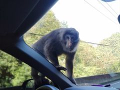 -西岭雪山大飞水景区