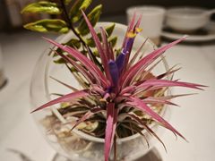 -码头见·潮汕菜(领展中心城店)