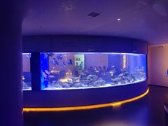 -上和臻品中国菜(花园街店)