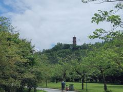 -南沙蒲洲花园