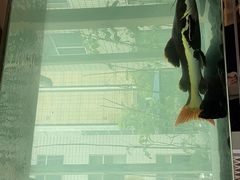 -衡山汇·高级粤菜(霄云路店)