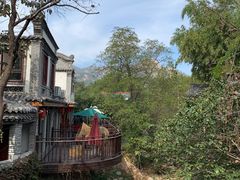 -老张烤羊(王哥庄店)