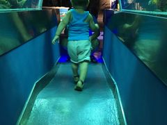 -石家庄海洋公园