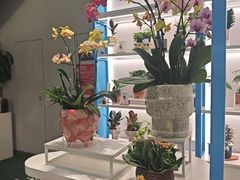 -和平大悦城