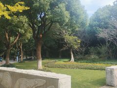 -上海吴淞炮台湾国家湿地公园