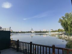 -莲花池公园