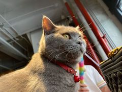 -么么咖啡(燕郊店)