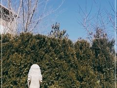 -大连金石滩绿发温泉假日酒店