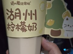 -猫的魔法密林(衣裳街店)